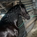 Buddy Troy - Facebook
