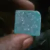 Lion alpha King - @troy.combs - TikTok