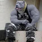 Troy Combs - @troy.combs.520 - Instagram