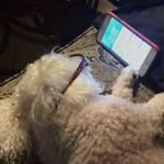 Troy  Conner - @connertroy12 - Instagram