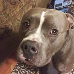 Troy Conner - @troy.conner.58910 - Instagram
