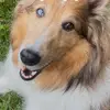 Troy Corbin 411 - @troy.corbin.411 - TikTok