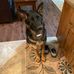 Troy Cottam - Facebook