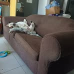 Troy Cowan - Facebook