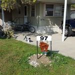 Troy Cowan - @cowan_troy - Instagram