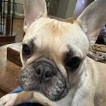 Troy Craft - @troy.craft - Instagram
