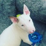 Troy cullen - @troy_x_cullen - Instagram