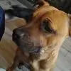 Troy Cullen - @troy.cullen3 - TikTok