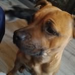Troy Cullen - Facebook