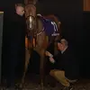 troy cullen - @troy.cullen1 - TikTok