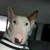 Troy Cullen - @troy.cullen04 - TikTok