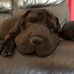 Troy Dale - Facebook