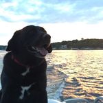 Troy Dale - @good_boy_troy300 - Instagram