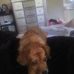 Troy Dale - Facebook