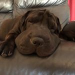 Troy Dale - @tr.oy9084 - Instagram
