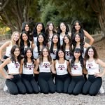 Troy Red Hots - @troy_danceteam - Instagram