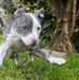 Troy Davies - Facebook