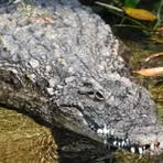 Troy Dehart - Facebook
