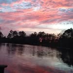 Troy Dobson - @dobson.troy - Instagram