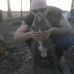 Troy Donald - Facebook