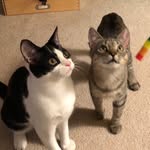 Troy+Domino - @troydomino1122 - Instagram