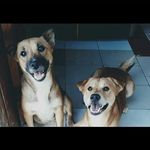 Doty and Troy - @troy_doty - Instagram
