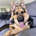 Troy Dowling - Facebook
