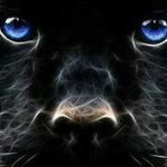 Troy Dugger II - @troyduggerii1 - Instagram