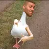 Troy Durham - @durhamncheez - TikTok