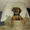 troydurocher156 - @troydurocher156 - TikTok