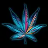 Troy Dyer5205 - @trippyland69 - TikTok