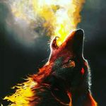 Troy Dyer - @_dyertroy_ - Instagram