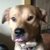 troy521eberhart - @troy521eberhart - TikTok