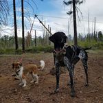 Ellem and Tron - @ellemandtron - Instagram