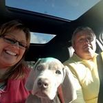 Troy Ellis - @troy.ellis.148 - Instagram