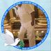Troy Ellison - Facebook