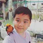 Farrell Troy Ann - @farrelltroyann - Instagram
