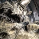 Troy Farrell - @troy.farrell.33 - Instagram