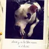 Troy Fields1234566788900032124 - @troy.fields123456 - TikTok