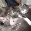 Troy Fields - @troy.fields65 - TikTok
