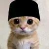 Troy Foley - @troy.foley - TikTok