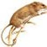 Troy Gallagher - @troygallagher44 - Instagram