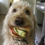 Troy Garcia - @soytroyboy - Instagram
