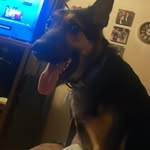 Troy Geiger - @troygeiger - Instagram