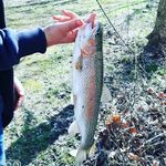 Troy Geiger - @dadibean51 - Instagram