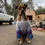 Troy Geiger - @im2slick4u3005 - Instagram