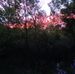 Troy Gilpin - Facebook