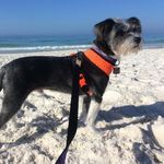 David Troy Gipson - @astrodog55 - Instagram