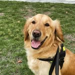 Troy - @goodestboy_troy - Instagram