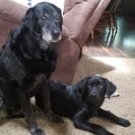 troy goodman - @minertg338 - Instagram